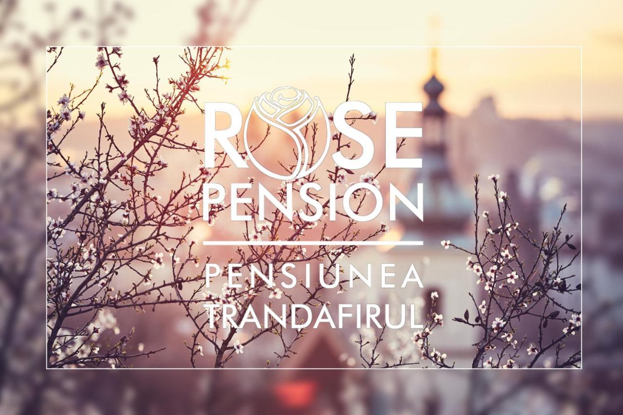 Pension Rose-Trandafirul Borsec Zewnętrze zdjęcie